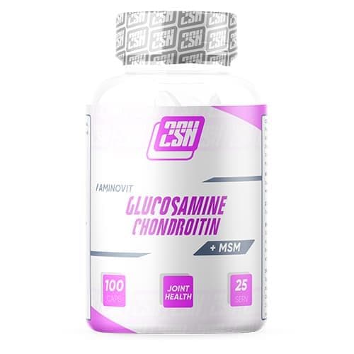 2SN Glucosamine + Chondroitin + MSM 600 mg 100 caps